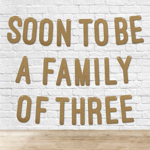 Soon to Be a Family of Three Glitter Baby Shower Banner By KreateSquare Each Word 7 Inches 900 GSM Gender Reveal Party Garland Decoration